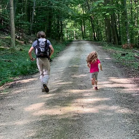 Hotel-gasthof Zur Linde